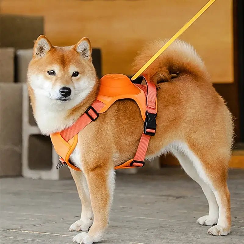 Coleira Retrátil com Guia para Cães de Médio e Grande Porte - Power Control