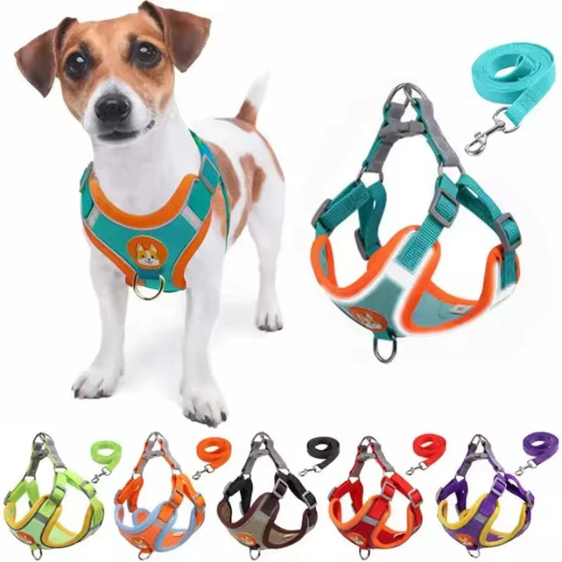 Peitoral Dog Joy Premium 🌈