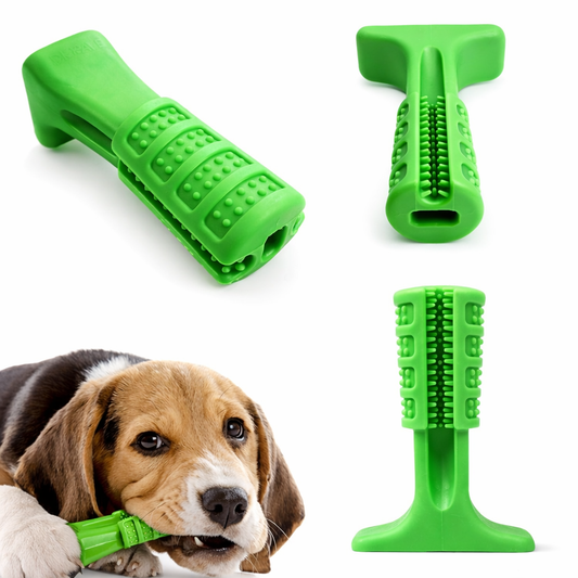 Mordedor Dental CleanPet Pro