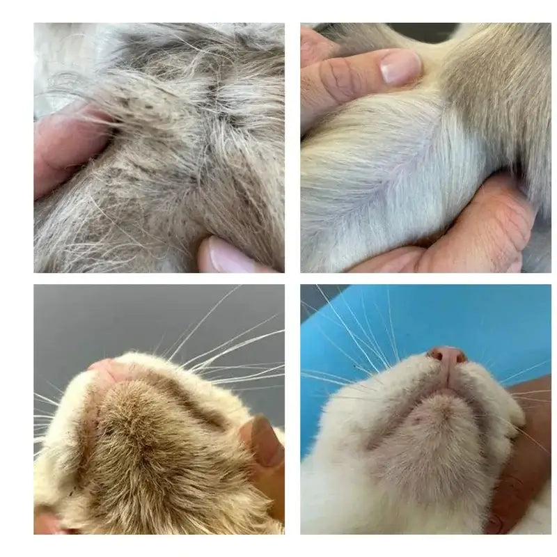 Luva Removedora de Pelos PetClean™