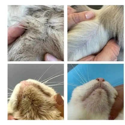 Luva Removedora de Pelos PetClean™