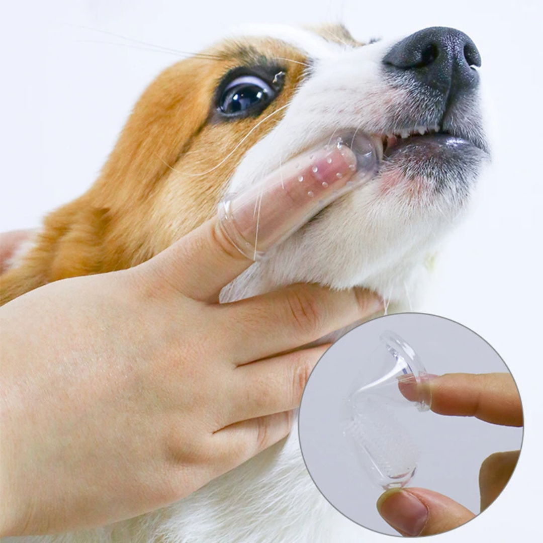 PetSmile Finger™ – Escova Dental de Silicone para Pets