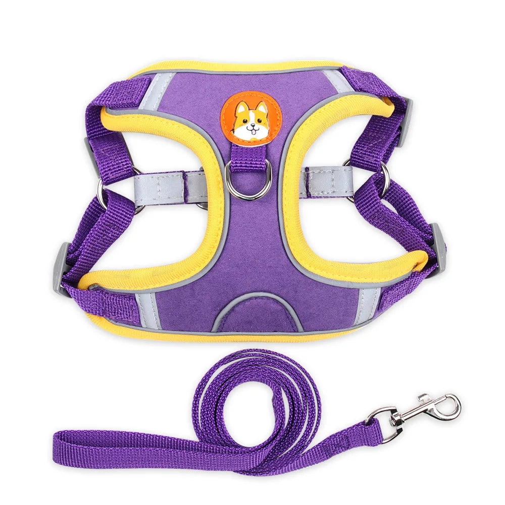 Peitoral Dog Joy Premium 🌈