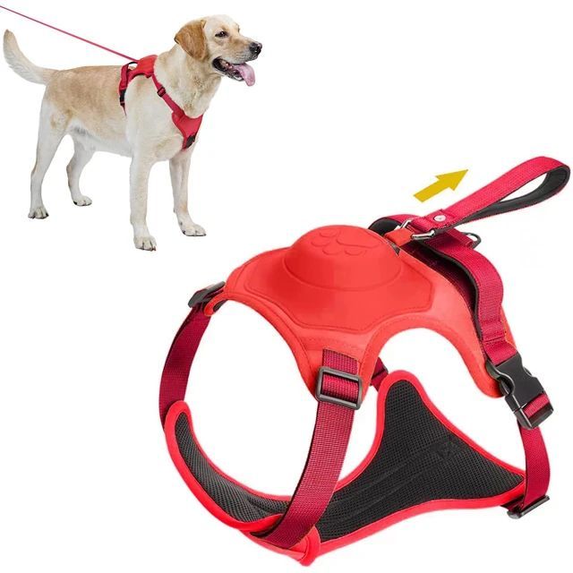 Coleira Retrátil com Guia para Cães de Médio e Grande Porte - Power Control