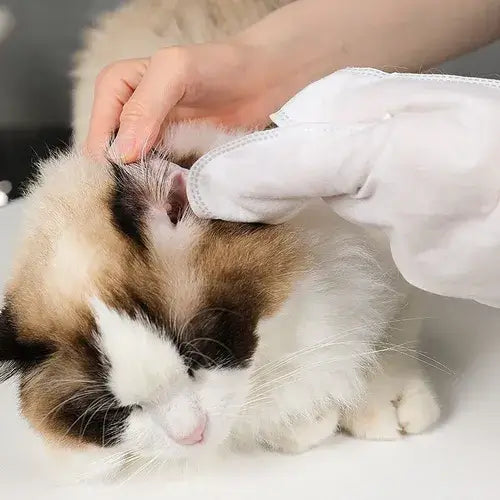 Luva Removedora de Pelos PetClean™