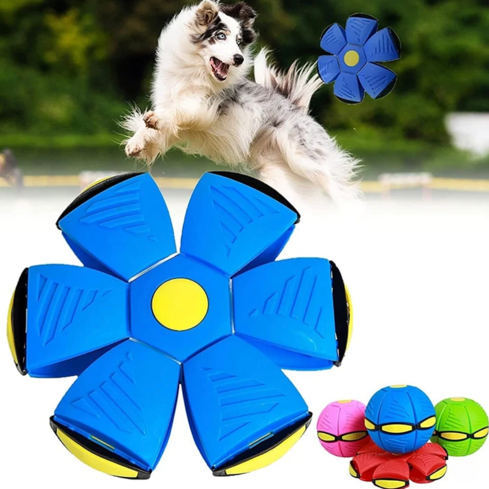 Brinquedo Interativo Pet FlowerBall