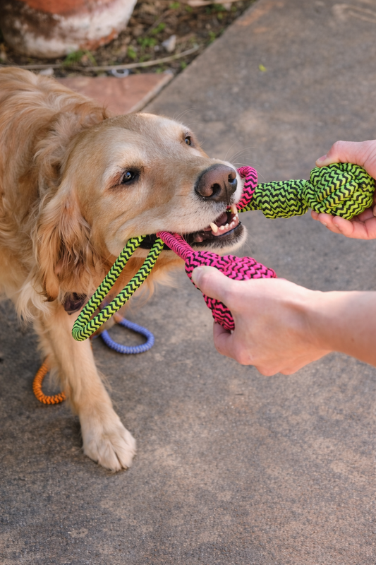 BrincaPet Ultra Rope
