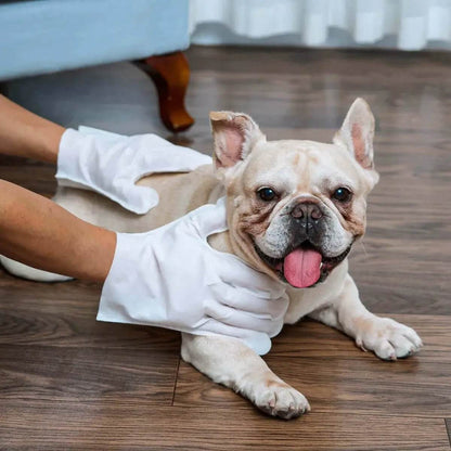 Luva Removedora de Pelos PetClean™