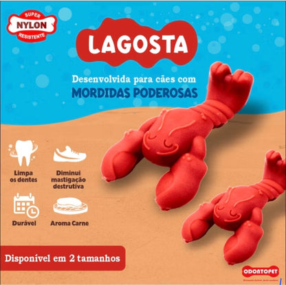 Mordedor Lagosta PowerBite