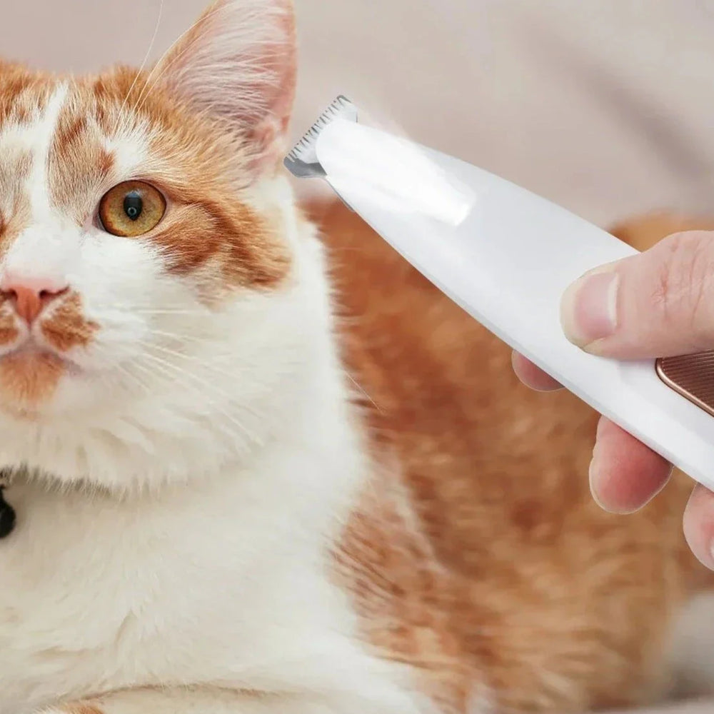 Aparador PetCare Para Pets