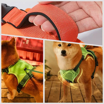 Coleira Retrátil com Guia para Cães de Médio e Grande Porte - Power Control