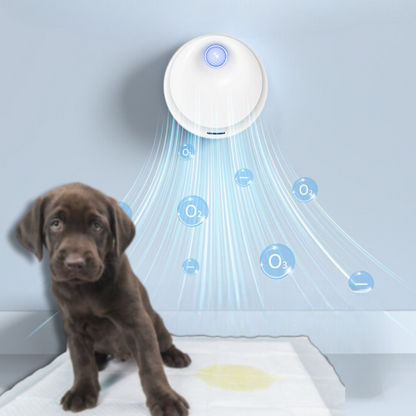 Sensor Inteligente PetSafe 24H – Proteção, Higiene e Tranquilidade para Seu Pet