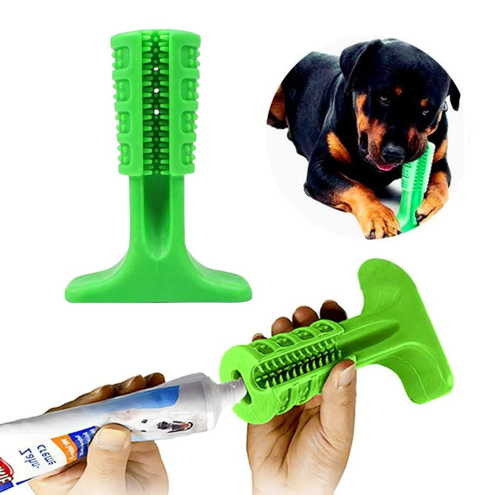 Mordedor Dental CleanPet Pro