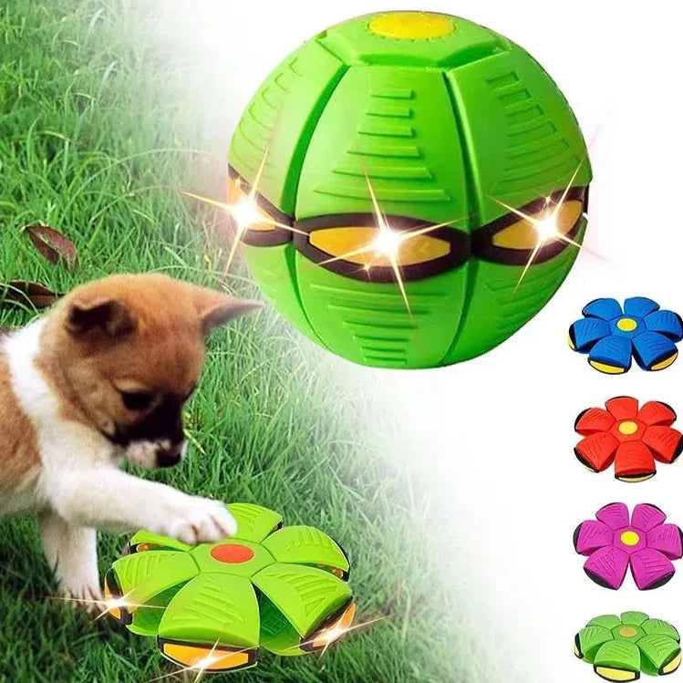 Brinquedo Interativo Pet FlowerBall
