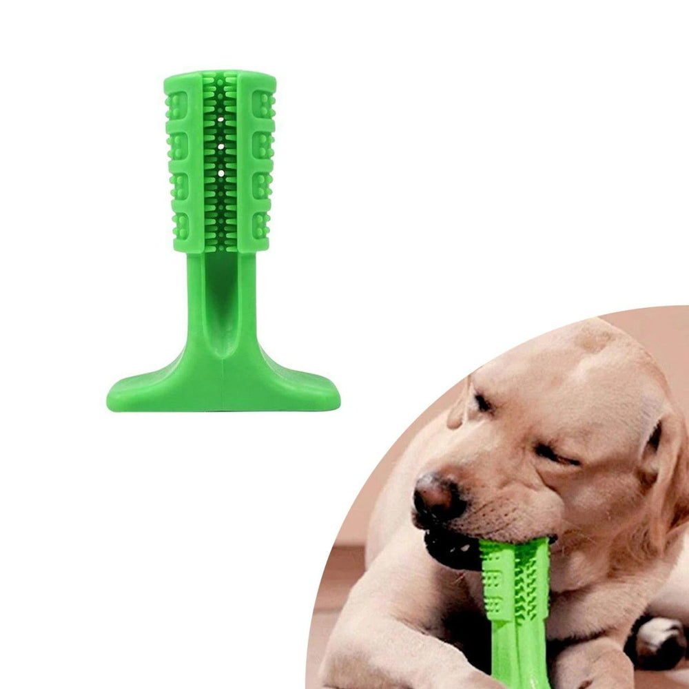 Mordedor Dental CleanPet Pro