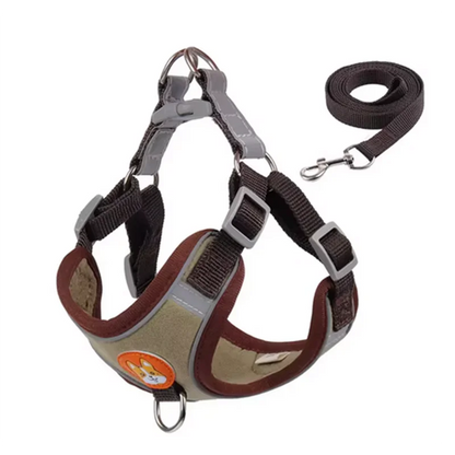 Peitoral Dog Joy Premium 🌈
