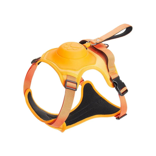 Coleira Retrátil com Guia para Cães de Médio e Grande Porte - Power Control