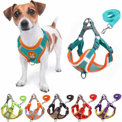 Peitoral Dog Joy Premium 🌈